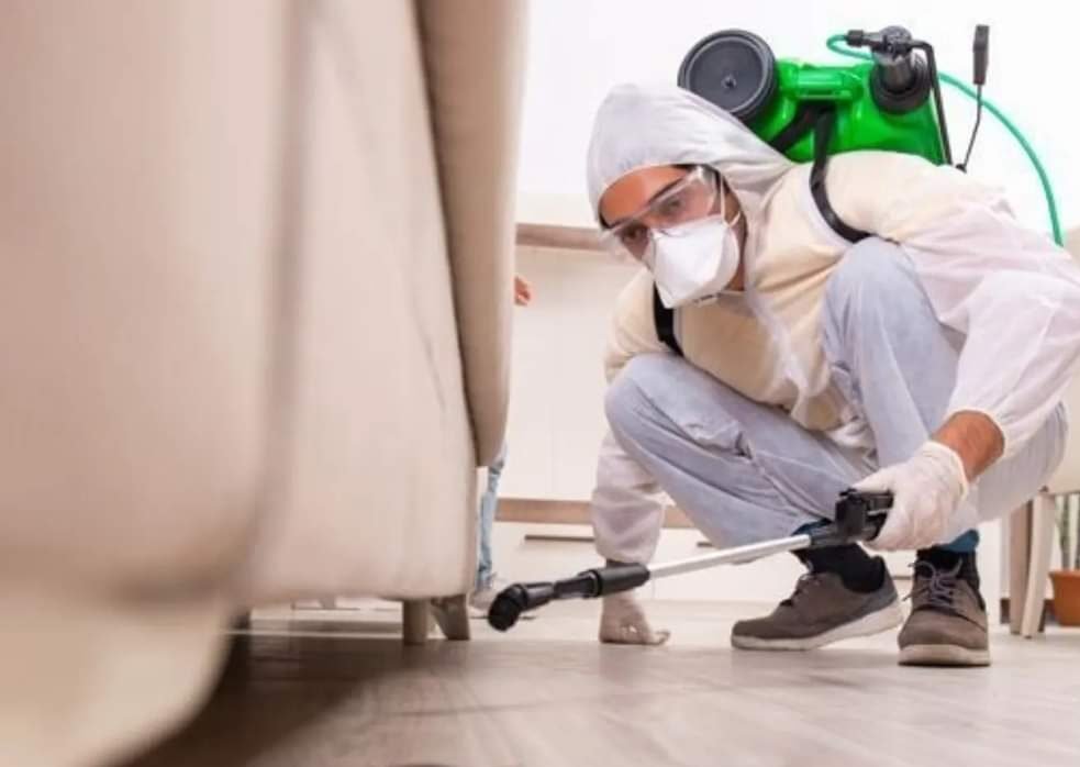 شركة مكافحة حشرات بالدمام - 0566055691